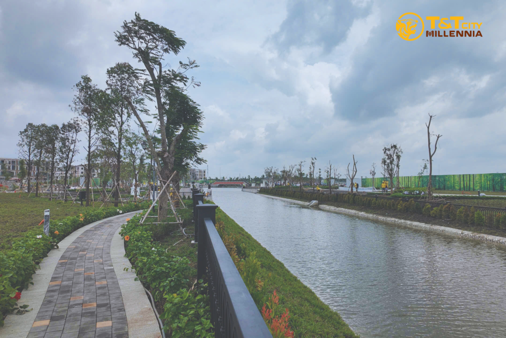 Hình anh thực tế dòng sông ánh sáng T&T Millennia City