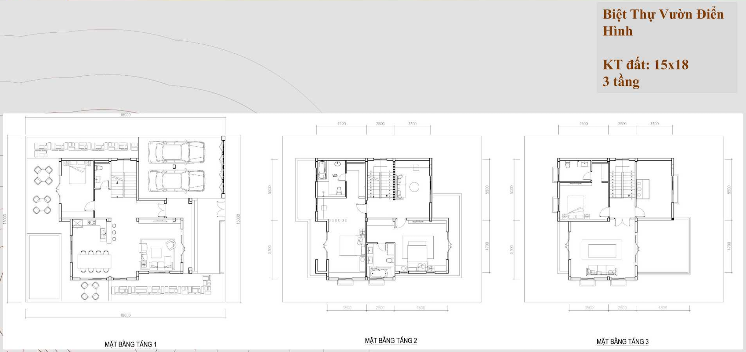 Mặt bằng biệt thự đơn lập T&T City Millennia